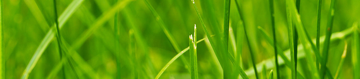 网页攻击器教程